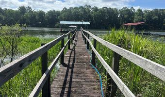 2087 White Rd, Abbeville, AL 36310