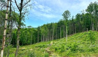 Pumpkin Patch Road, Bakersville, NC 28705