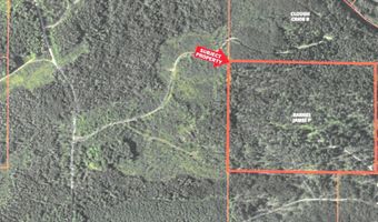TBD OFF CR 426, Arnold, MI 49819