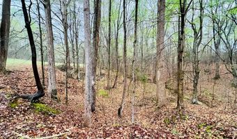 10 Cross St, Abbeville, SC 29620