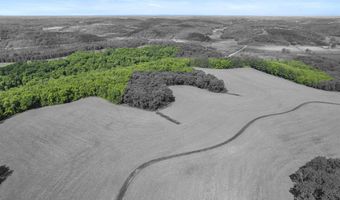 33 44 Acres Zwettler Rd, Arena, WI 53517