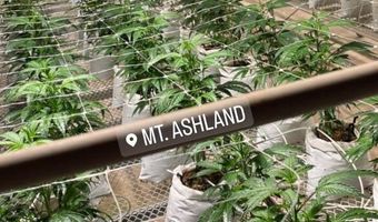 420 Reiten Dr, Ashland, OR 97520