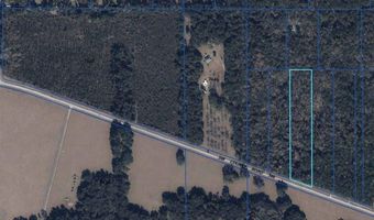 8108 SW COUNTY ROAD 346, Archer, FL 32618