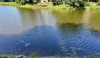 4535 River Lane St, Alger, MI 48610