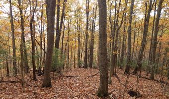 Spoon Gap Rd, Abingdon, VA 24211