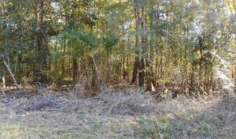 E-S Drive, Braxton, MS 39044