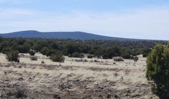 644 Cortez Ranch Rd, Ash Fork, AZ 86320