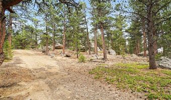 12190 Highway 7, Allenspark, CO 80510