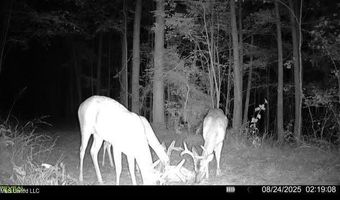 3 Champion Hill Rd, Bolton, MS 39041