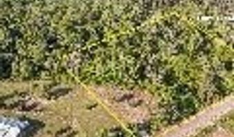 0 Bruner Pond Rd, Ashford, AL 36312