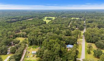 Jupiter Hill Road, Adams Run, SC 29426