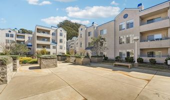 535 Pierce St 3216, Albany, CA 94706