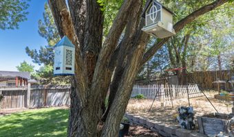 4221 Stampede Dr, Carson City, NV 89701