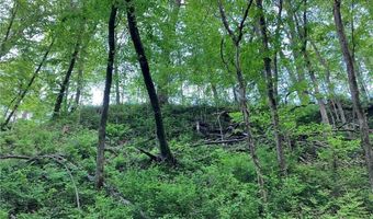 N3953-201 Bear Pen Road, Arkansaw, WI 54721