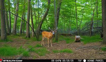 255 45 Ac Dover Dr, Adams, WI 53910