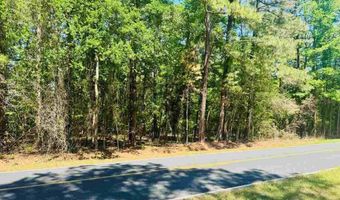 Grants Mill Rd W, Bennettsville, SC 29512