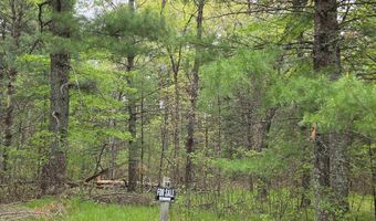 S Badger Lane lot 38, Arkdale, WI 54613