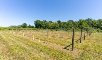 4759 Ninevah Rd, Ashtabula, OH 44004