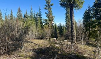 Urban Lane lot 5, Cascade, ID 83611
