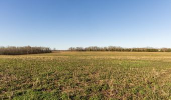 Tract 1 0000Farm Road 2007, Aurora, MO 65605