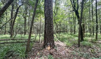 Pine Lodge Road, Batesville, MS 38606