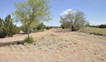 138 Jeff Lake Rd (CR N9230), Concho, AZ 85924