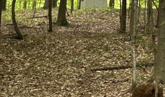 9196 NW Manley Rd, Alden, MI 49612