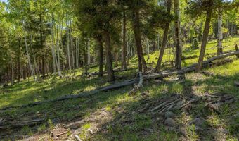 Lot 437 El Camino Real, Angel Fire, NM 87710