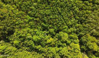 Beech Bluff Road, Beech Bluff, TN 38313