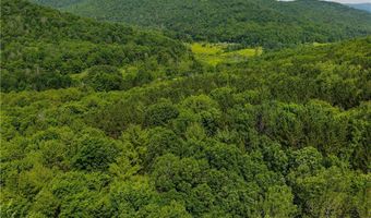 738 Four Mile Rd, Allegany, NY 14706