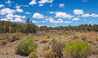 5205 E BIRD CREEK Rd, Ely, NV 89301