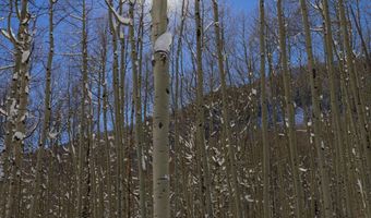 640 S Hayden Rd, Aspen, CO 81611