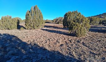 286 County Rd, Concho, AZ 85924