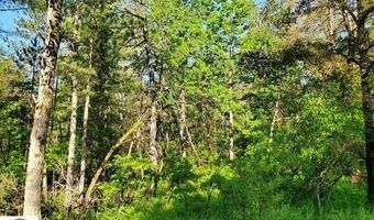Quigley Road 40 Acres Quigley Road, Alger, MI 48610