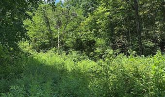 Bryant Hollow Road, Alderson, WV 24910