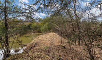 Smithtown Road, Afton, TN 37616