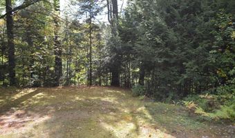 42 Tinker Rd, Acworth, NH 03607