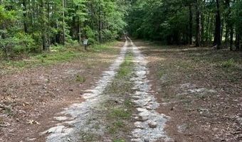 Lot 10 High Country Ct, Windsor, SC 29856