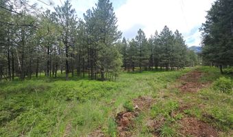 23355 Sunbilla Dr, Arlee, MT 59821