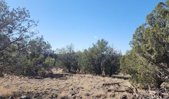 3214 N Kerren Lp, Ash Fork, AZ 86320