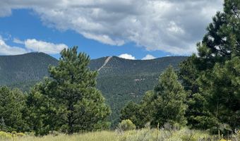 Lot 459 San Mateo, Angel Fire, NM 87710