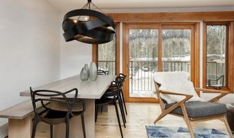 1020 E Durant Ave 301, Aspen, CO 81611
