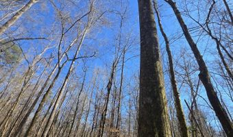 Bogue Chitto Road, Bogue Chitto, MS 39629