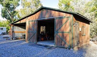 10341 Tongue Creek Rd, Austin, CO 81410
