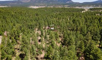 13 County Road N 2122, Alpine, AZ 85920