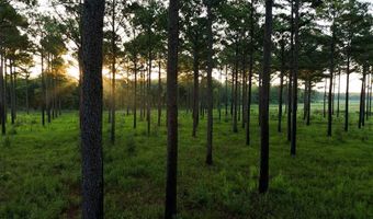 Rockmine Rd Arlington GA 39813, Arlington, GA 39813