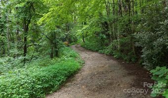 Killdevil Hill Lane unit 9 & 10 9 & 10, Bat Cave, NC 28792