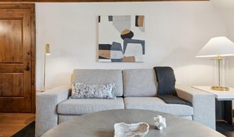 415 E Dean St Unit 36 Week 33, Aspen, CO 81611