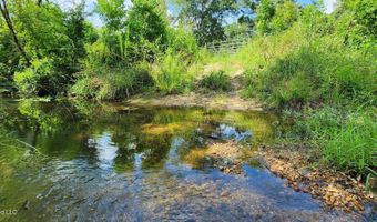 3350 SE Mount Pleasant Ln, Bogue Chitto, MS 39629