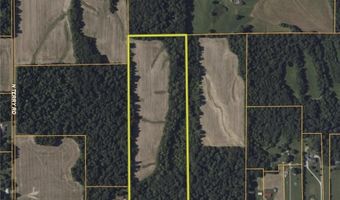 E County Road 650 N, Austin, IN 47102